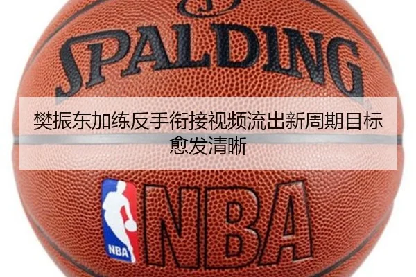樊振东加练反手衔接视频流出新周期目标愈发清晰
